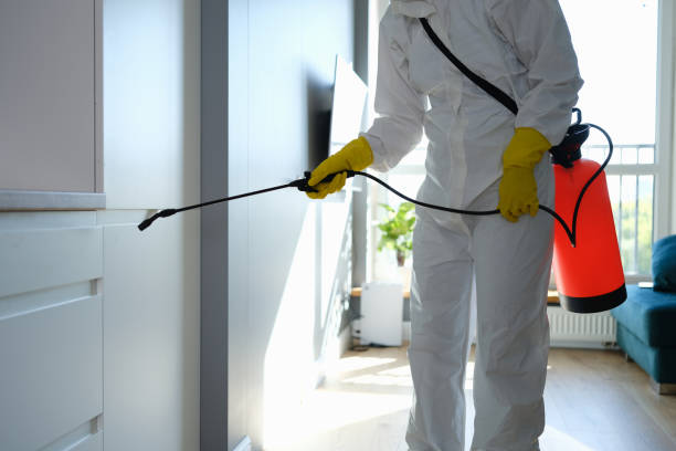 Home Mold Removal in Sky Valley, CA