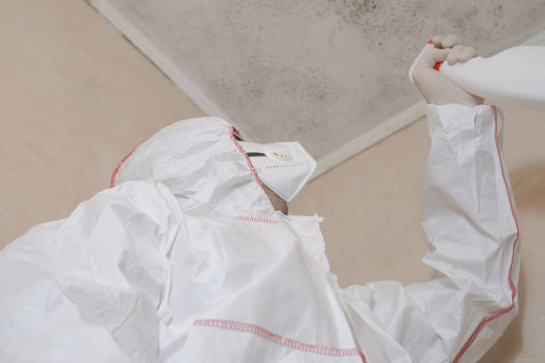 Best Local Mold Removal Service  in Sky Valley, CA