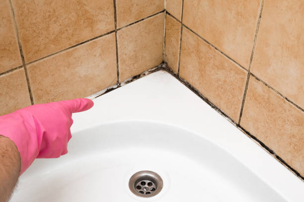 Best Mold Removal and Inspection  in Sky Valley, CA